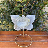 Agate Druzy Butterfly Stone on Metal Stands - Alura Stones