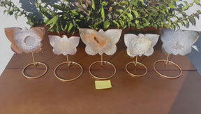 [LOT 227] Agate Druzy Butterfly Stone on Metal Stands - Alura Stones